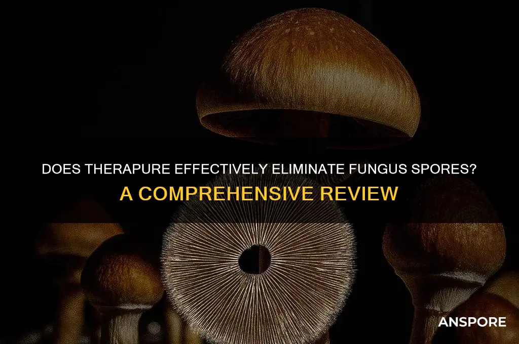 does therapure kill fungus spores