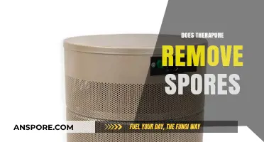 Does Therapure Air Purifier Effectively Remove Spores from Indoor Air?