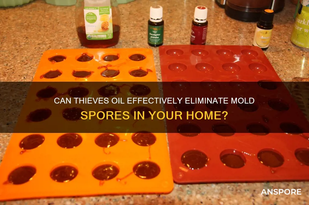 does thieves oil kill mold spores