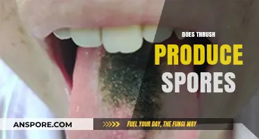 Does Thrush Produce Spores? Unraveling the Fungal Reproduction Mystery