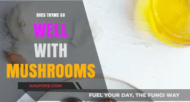 Thyme and Mushroom: A Match Made in Heaven?