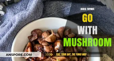 Thyme and Mushroom: A Match Made in Heaven?