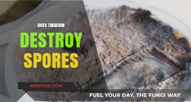 Does Tinacrin Effectively Destroy Spores? A Comprehensive Analysis