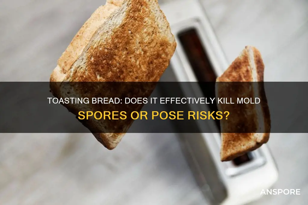 does toasting bread kill mold spores