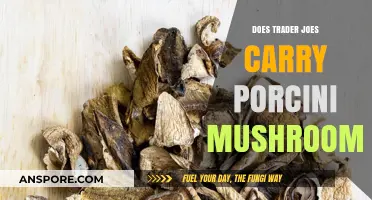 Trader Joe's Porcini Mushroom Hunt: What's in Store?