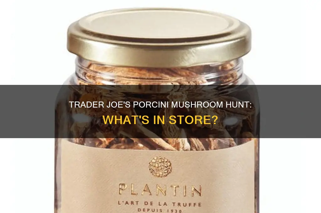 does trader joes carry porcini mushrooms