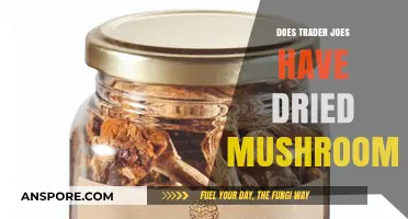 Trader Joe's Dried Mushrooms: A Comprehensive Review