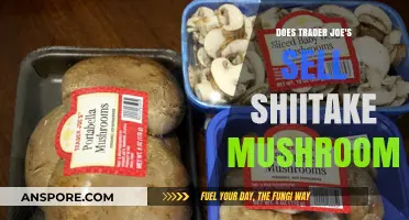 Trader Joe's Shiitake Offerings: Fresh, Dried, or None?