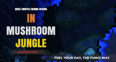 Truffle Worms: Where Do They Spawn?