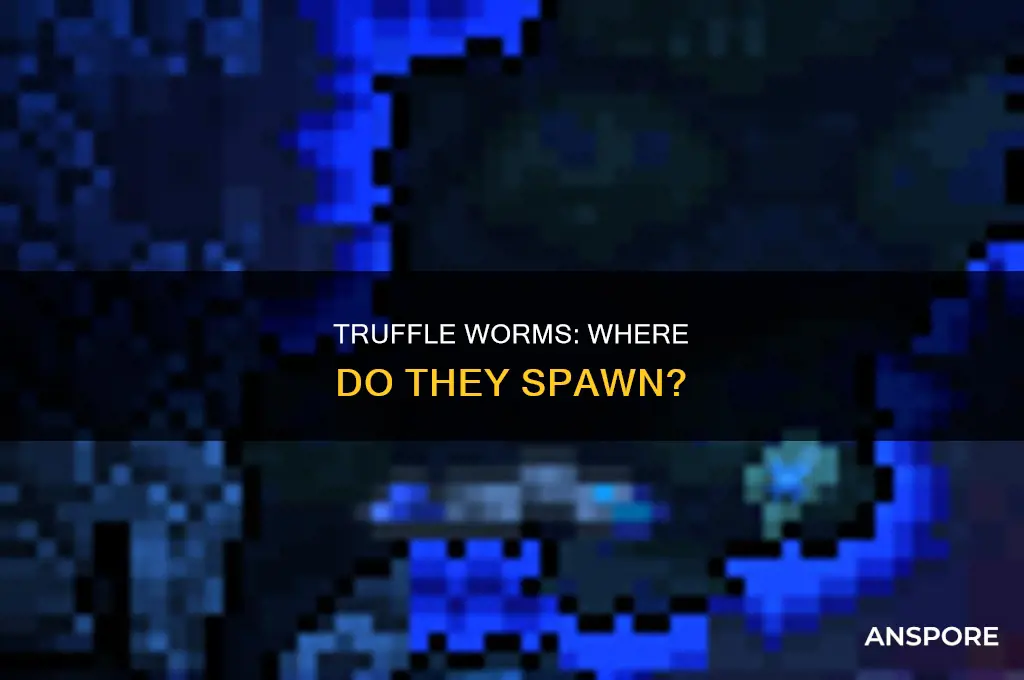 does truffle worm spawn in mushroom jungle