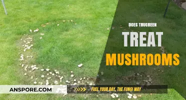 Trugreen's Approach to Tackling Mushrooms in Your Lawn