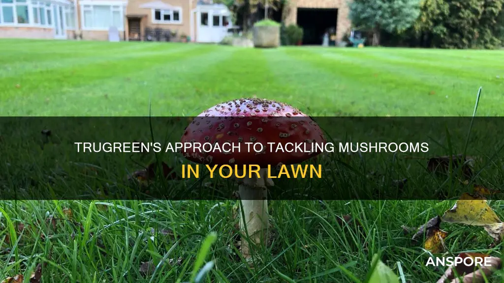 does trugreen treat mushrooms