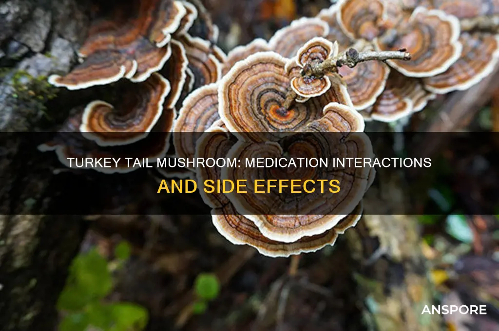 does turkey tail mushroom interact with medications
