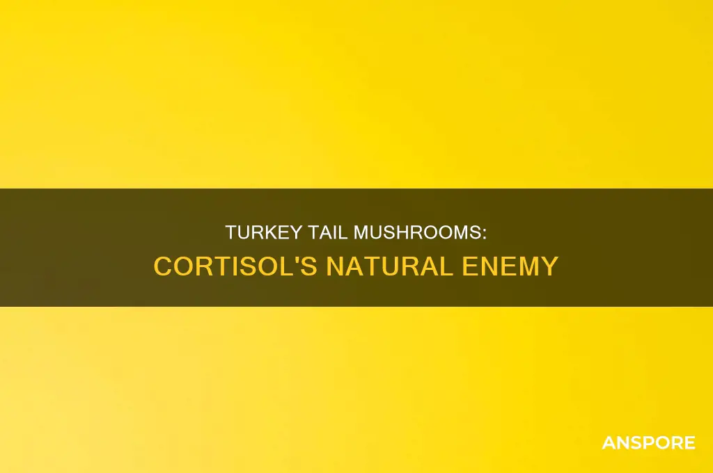 does turkey tail mushroom lower cortisol