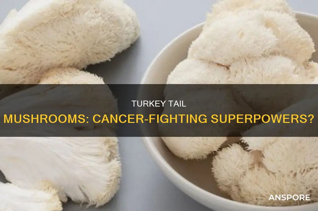 does turkey tail mushroom shrink tumors