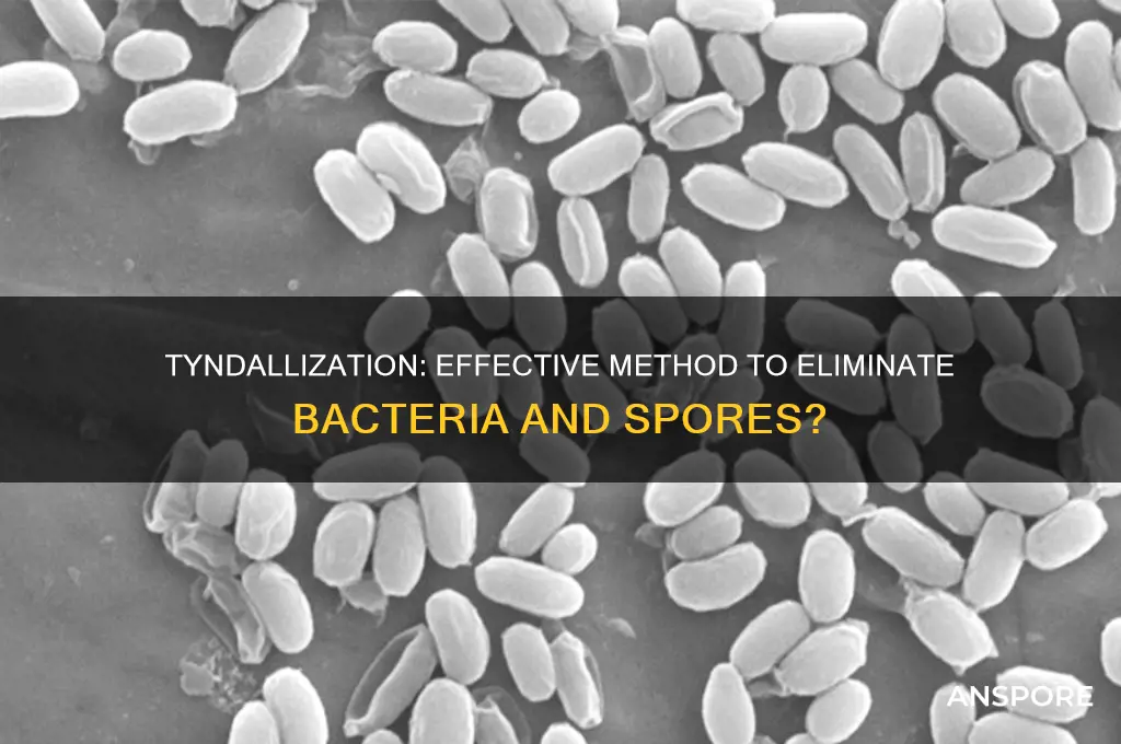 does tyndallization remove bacteria and spores