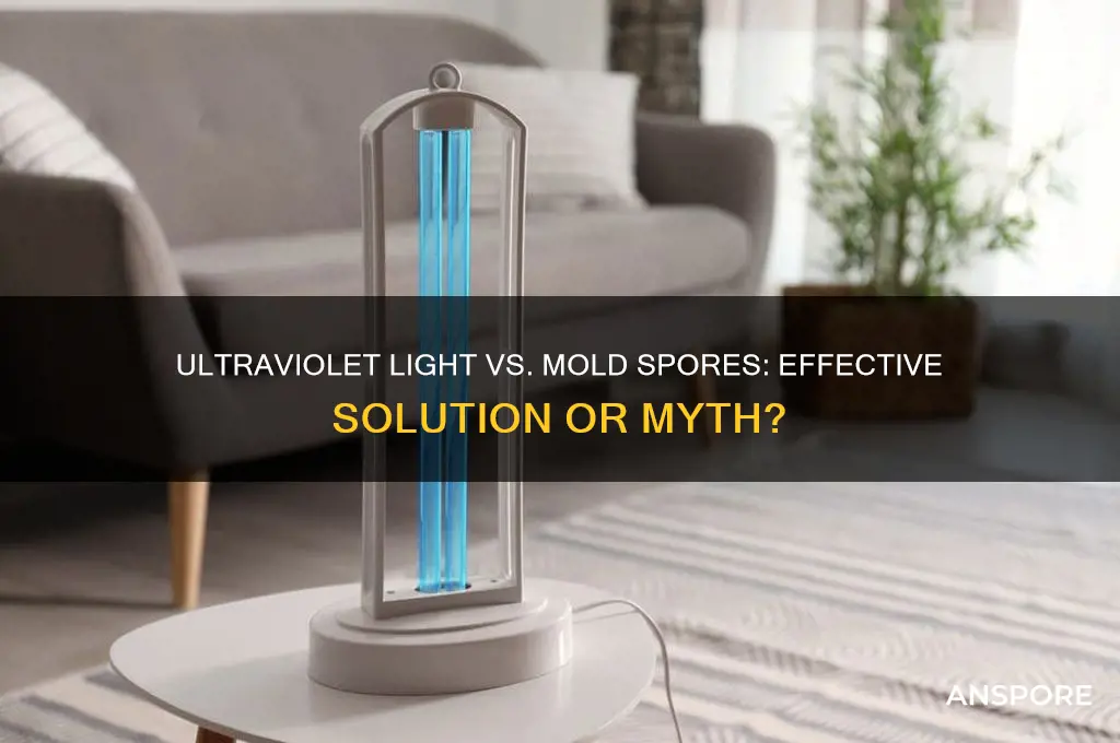 does ultraviolet light kill mold spores