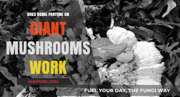 Does Fortune Enchantment Boost Giant Mushroom Drops in Minecraft?