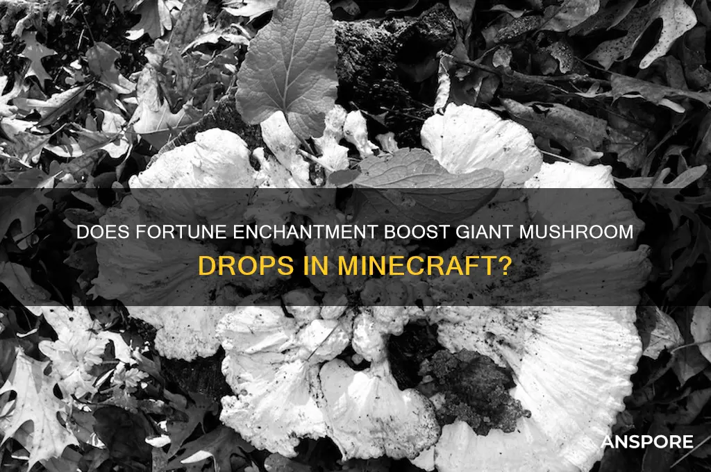 does using fortune on giant mushrooms work