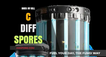 UV Light Effectiveness: Can It Eliminate C. Diff Spores?