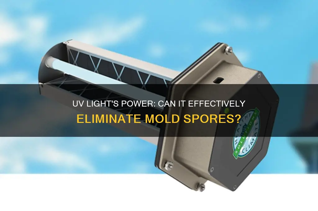 does uv kill mold spores