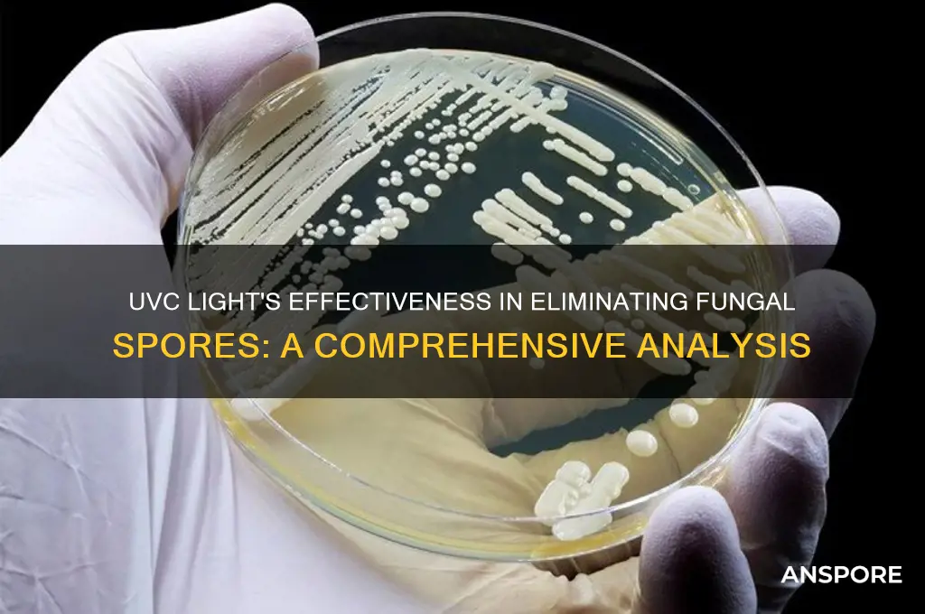 does uvc kill fungal spores