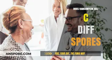 Vancomycin's Role in Combating C. Diff Spores: What You Need to Know