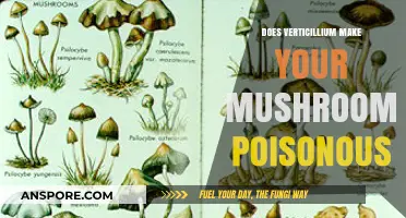 Verticillium and Mushroom Safety: Are Your Fungi Poisonous?