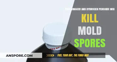 Vinegar and Hydrogen Peroxide: Effective Mold Spores Killer?