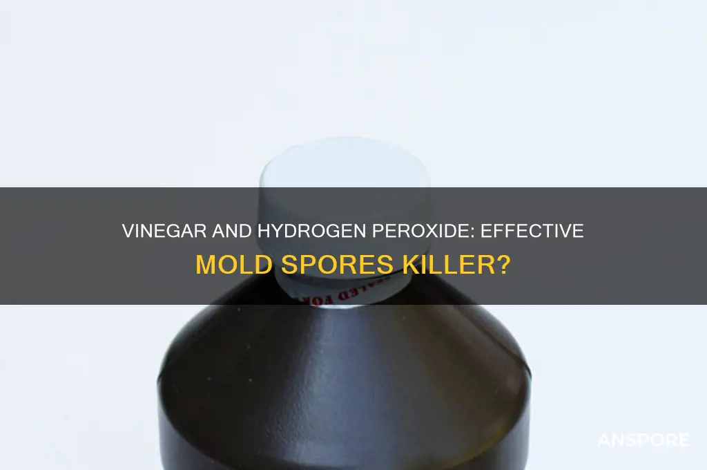 does vinager and hydrogen peroxide mix kill mold spores