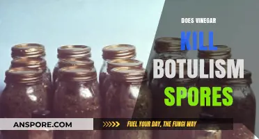 Vinegar and Botulism: Can It Kill Spores in Food Safely?
