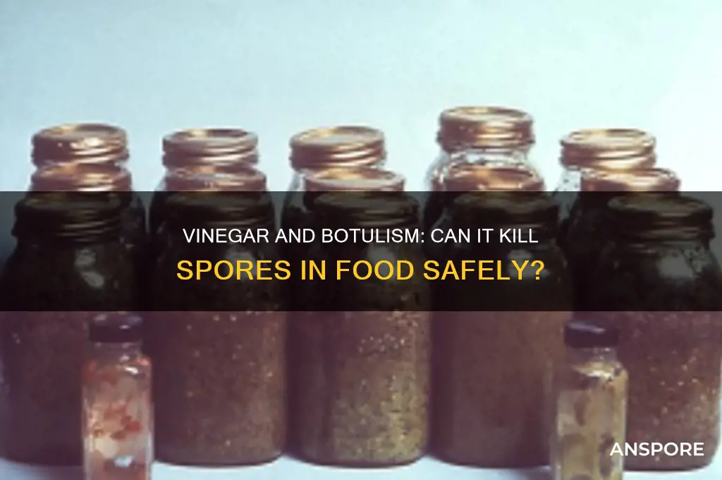 does vinegar kill botulism spores
