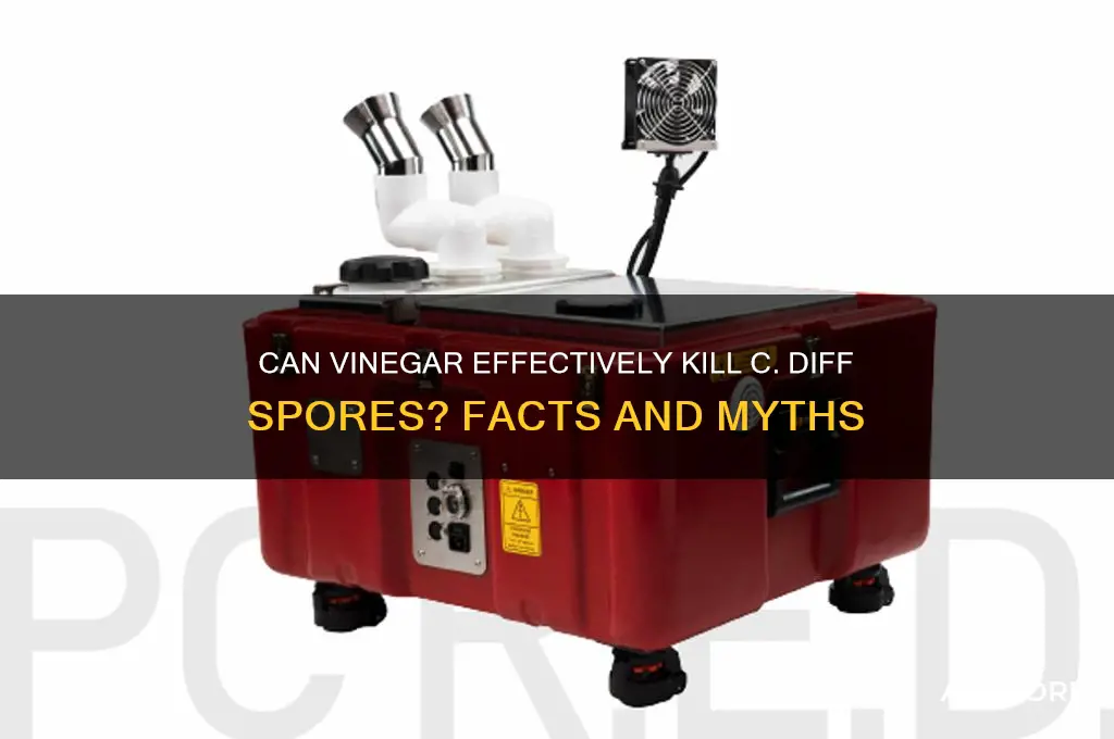 does vinegar kill c diff spores