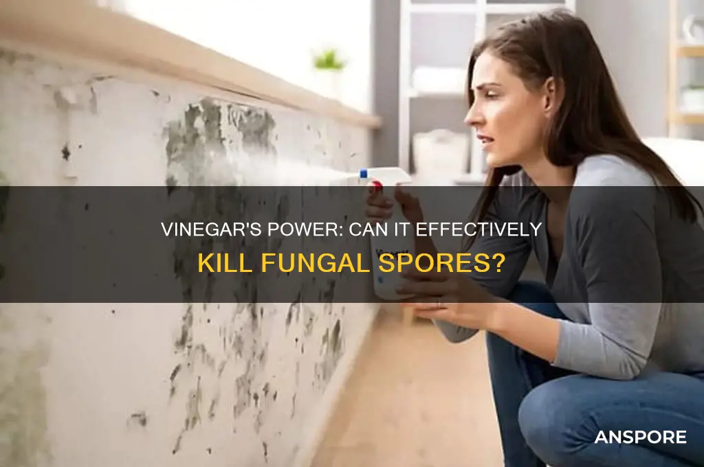 does vinegar kill fungal spores