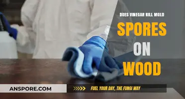 Can Vinegar Effectively Eliminate Mold Spores on Wood Surfaces?
