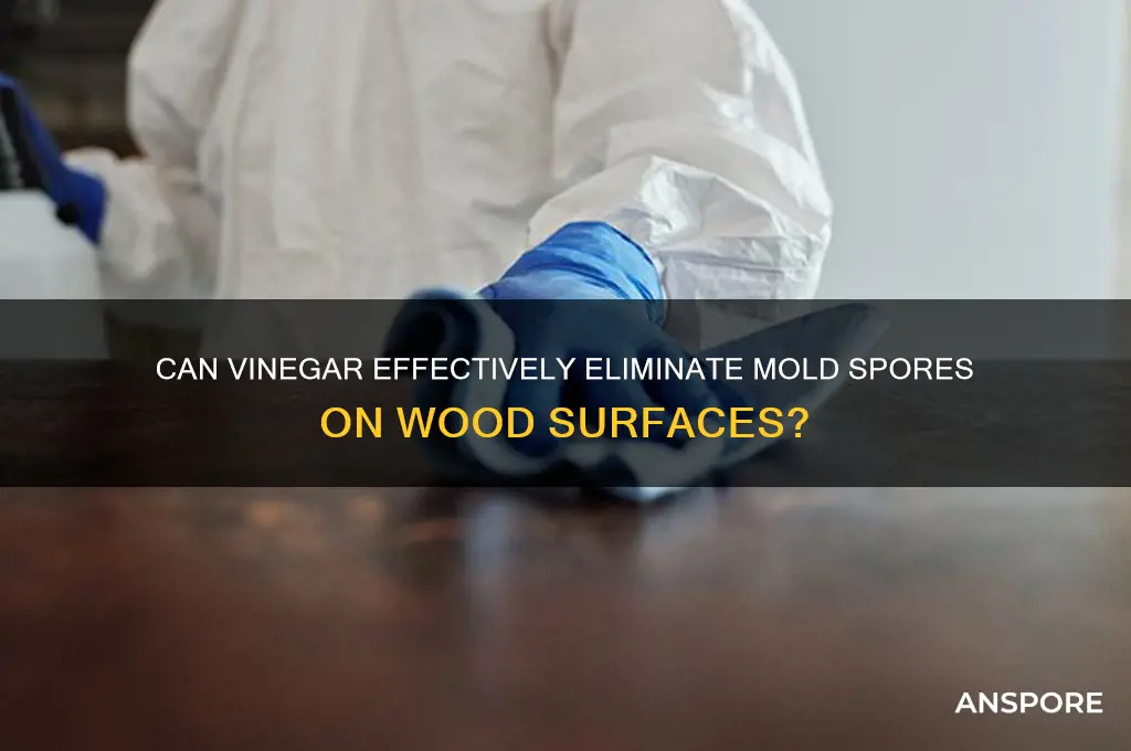 does vinegar kill mold spores on wood