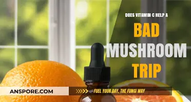 Can Vitamin C Ease a Bad Mushroom Trip? Exploring the Science