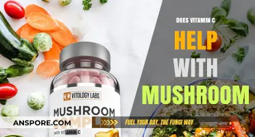 Vitamin C and Mushrooms: A Healthy Synergy