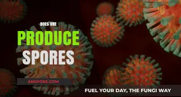 Does VRE Produce Spores? Unraveling the Truth About VRE's Survival