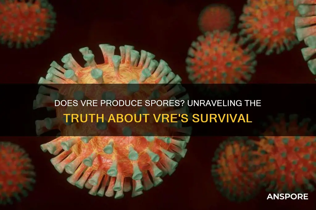 does vre produce spores