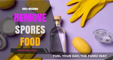 Can Washing Eliminate Spores on Food? Facts and Safety Tips