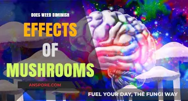 Weed and Shrooms: What's the Deal?