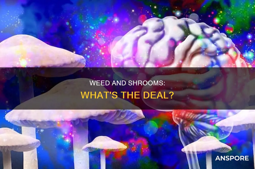 does weed diminish effects of mushrooms