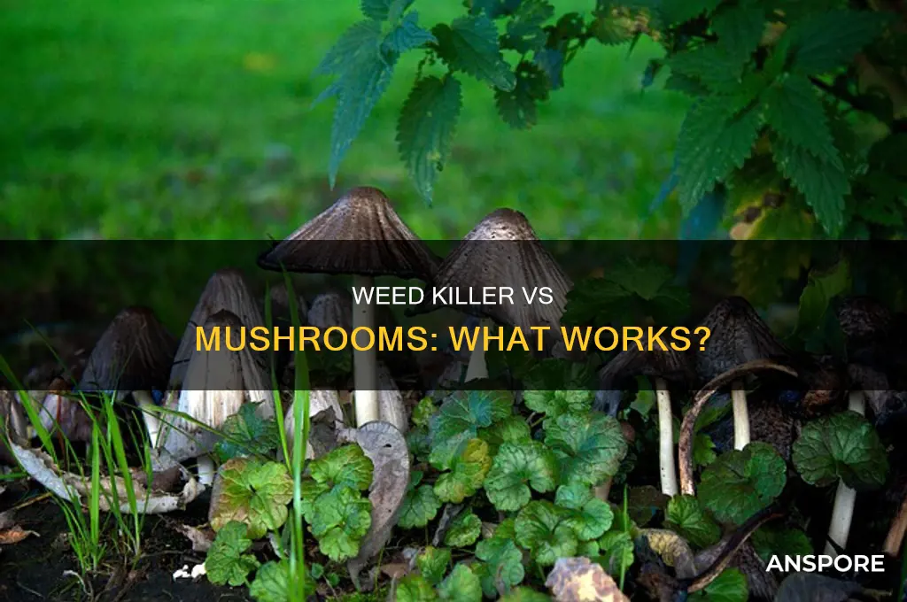 does weed killer work on mushrooms