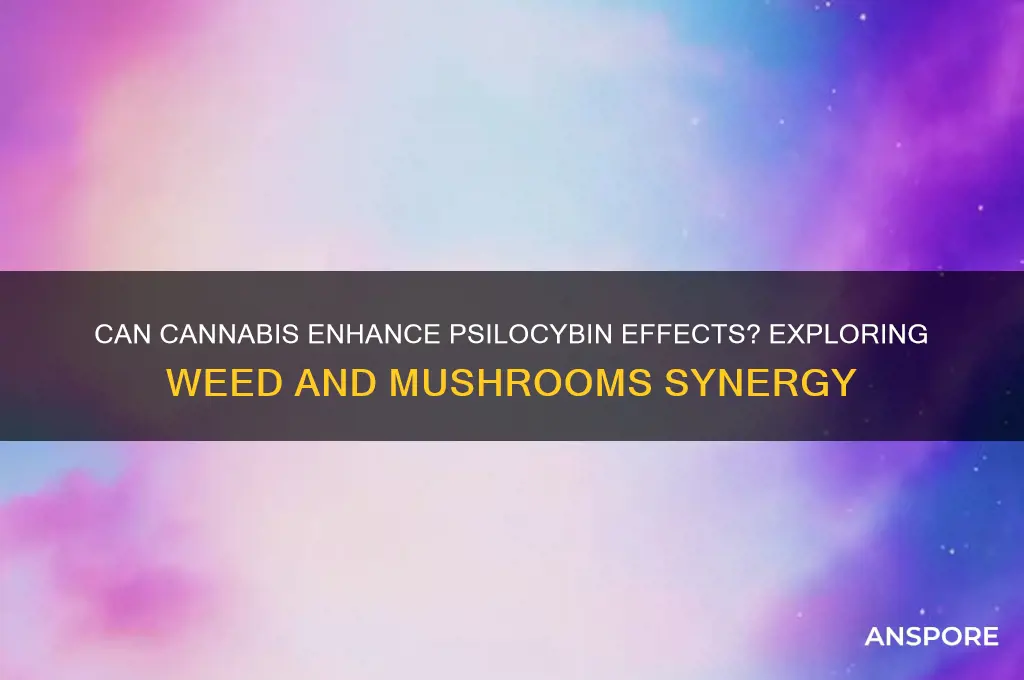 does weed make mushrooms stronger