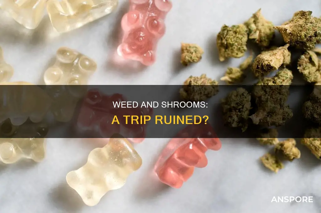 does weed ruin mushroom trip