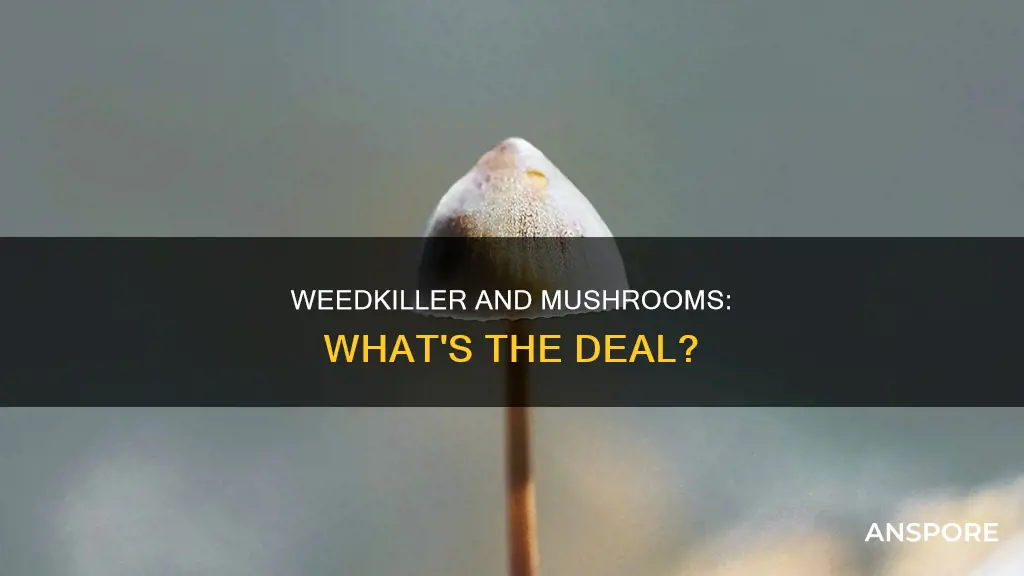 does weedkiller kill mushrooms