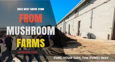 West Grove's Air Quality: Mushroom Farms' Impact