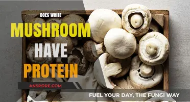 White Mushrooms: Are They a Protein Powerhouse?