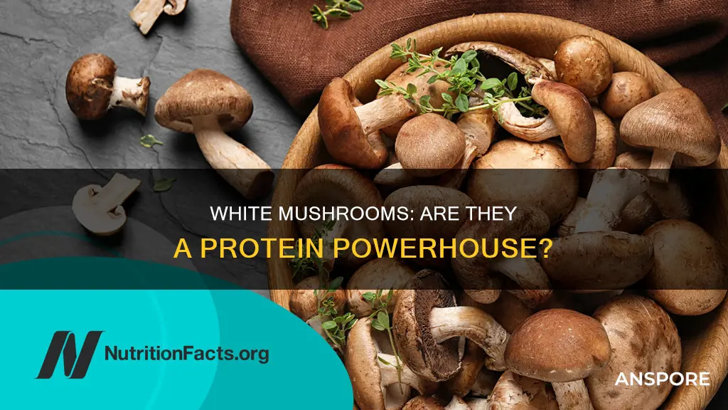 does white mushroom have protein